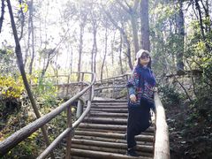 -黄陂区野村谷景区
