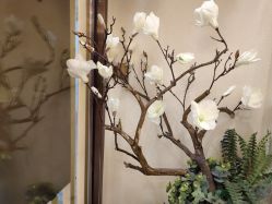 -芳朵美容养生SPA