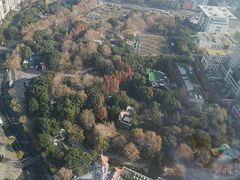 -上海明天广场JW万豪酒店