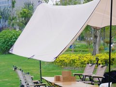 -春花秋色城市公园