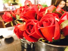 -华豫川酒家(大卫城店)