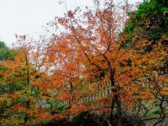 -乌山风景区