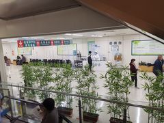 -首都医科大学附属北京潞河医院