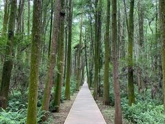 -同里国家湿地公园