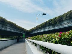 -华厦大酒店·桃源西餐厅·自助餐