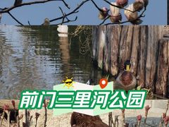 -三里河公园
