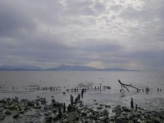 -深圳湾公园(南山区)