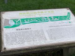 -神仙树公园
