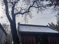 -白云观