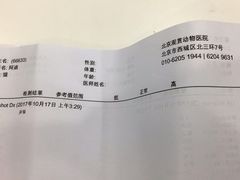 -北京观赏动物医院·24小时大型综合·猫专科·异宠专科