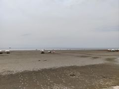 -江山半岛白浪滩景区