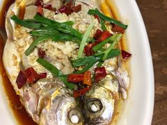 -印象江南(东栅店)