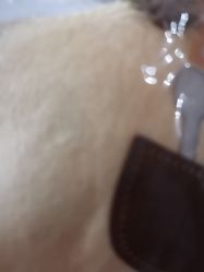 -蚂蚁造型俱乐部