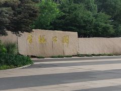 -青枫公园