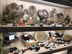 -诚品(信义店)