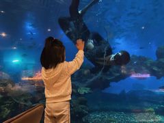 -涛·海底餐厅·美人鱼·自助餐·海底隧道(三亚海棠湾洲际度假酒店)