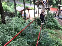 -梦幻奥陶纪景区