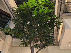 -大树餐厅(红旗街万达店)