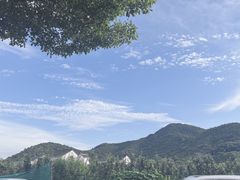 -树山生态村