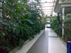 走廊-绿色时代大酒店