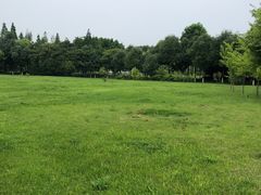 -眉山湿地公园(东坡区)