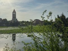 -日照海滨国家森林公园