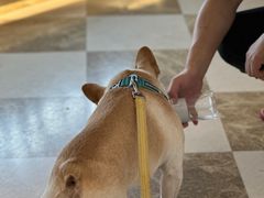 -瑞幸咖啡(苏河1号店)