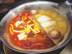 台式麻辣花胶鸡鸳鸯锅-湊湊火锅·茶憩(世博大道店)