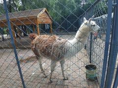 -长白岛森林公园