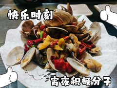 -西单翅酷(西单店)