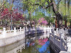 -桃花堤公园