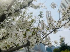 -老外滩