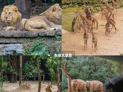 -广州长隆欢乐世界