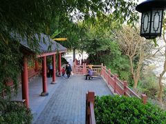 -大渡口区义渡公园