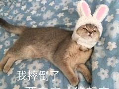 -LLJ夹机占(正佳广场店)