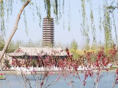 -西海子公园