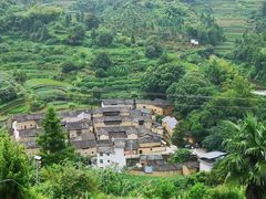 -杨家堂村
