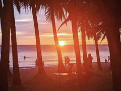 -Cha Cha's Beach Cafe