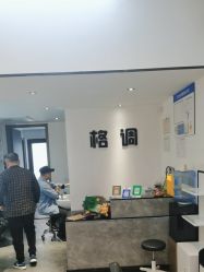 -格调造型