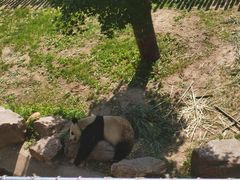 -沈阳森林动物园