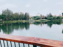 -四海公园(南山区)
