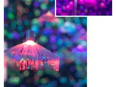 -杭州西湖星空魔幻城(星空艺术馆品牌旗舰店)