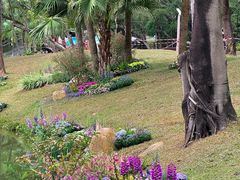 -人民公园(罗湖区)