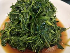 -江仙雅居(苏州桥店)