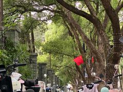 -杭州半山国家森林公园