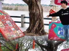 -大湾区中央湿地公园