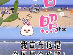 -日照海滨国家森林公园