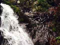 iphone_upload_pic-凤凰山国家森林公园