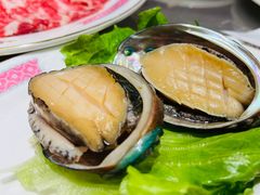鲜鲍鱼-燃计沙茶皇·香港沙茶火锅(人广旗舰店)