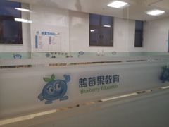 -蓝莓果幼儿园(通州梨园店)